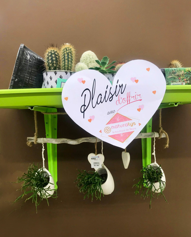 Décoration - Naturalys, boutique de fleurs - E.Leclerc Dammarie lès Lys