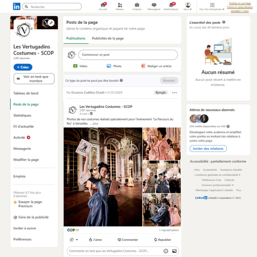 LinkedIn - Vertugadins LinkedIn - Vertugadins
